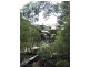 Fraser Island QLD 4581