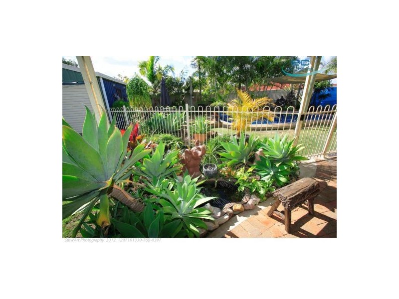 17 Cathy Place, Torquay QLD 4655