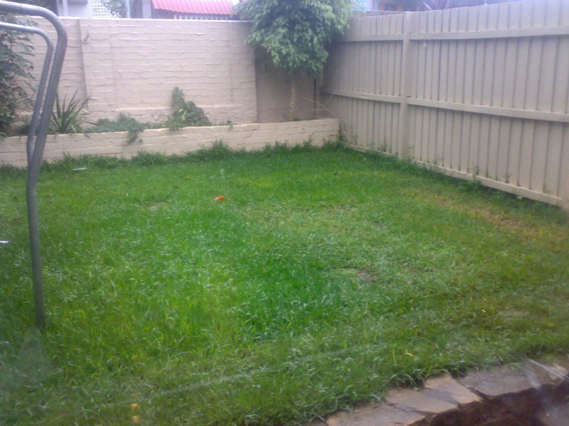 48 Excelsior Street, Leichhardt NSW 2040