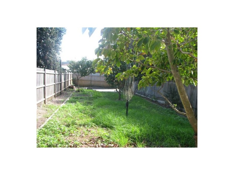 48 Wattle Street, Haberfield NSW 2045