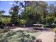 8 Riverview St, Concord NSW 2137