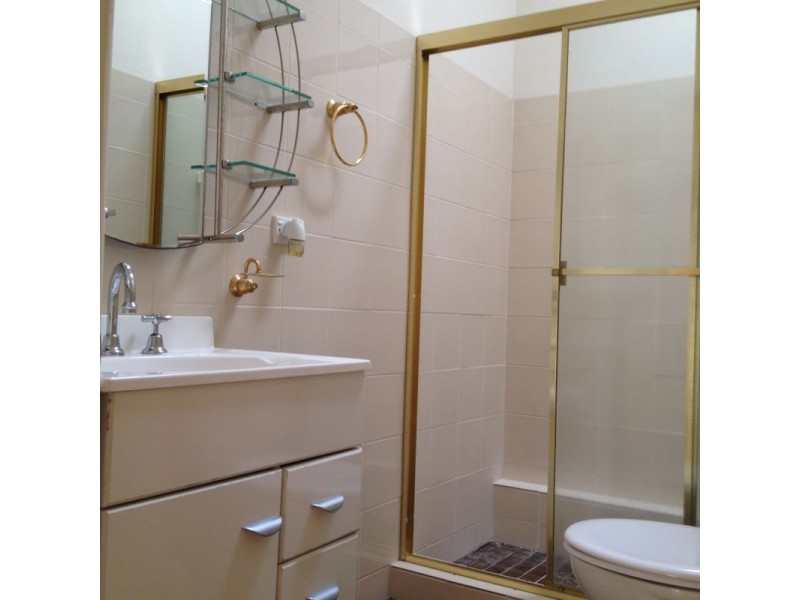 110 Moreton Street, Lakemba NSW 2195