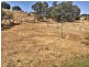 112 Carrington Road, Torrington QLD 4350