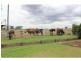 2535 Cecil Plains Road, Linthorpe QLD 4356