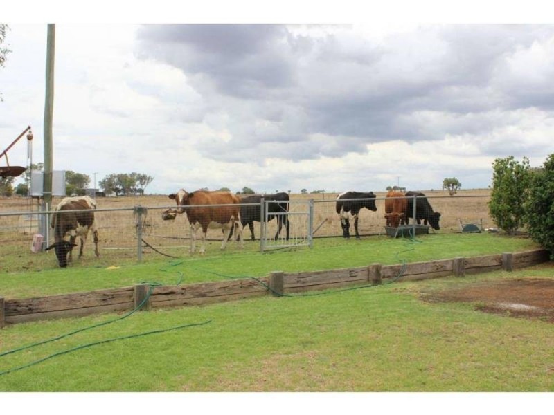2535 Cecil Plains Road, Linthorpe QLD 4356
