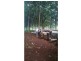 33 Wellers Road, Wooroolin QLD 4608
