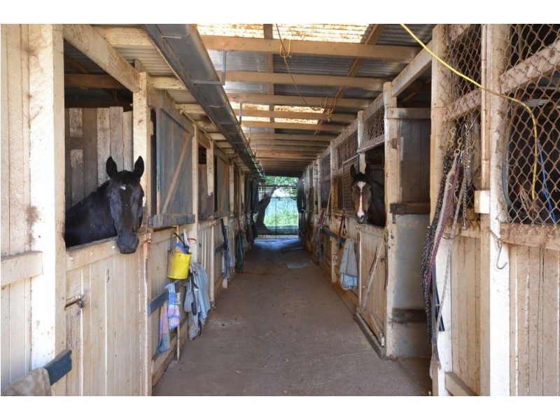 38 Wyalla Street, Newtown QLD 4350