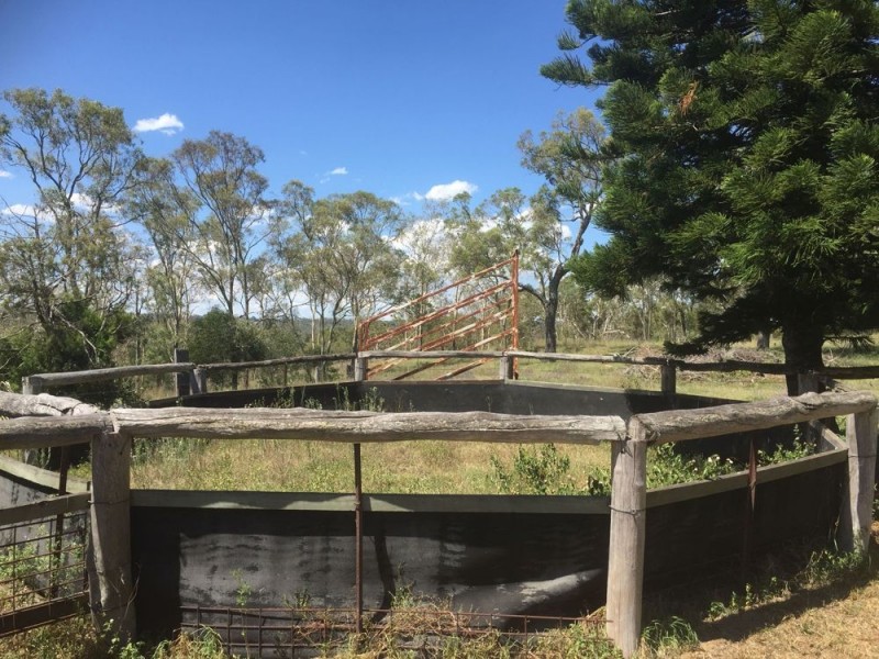 97 Greenwattle Street, Cranley QLD 4350