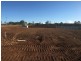 Lot 22 Serengetti Street, Glenvale QLD 4350