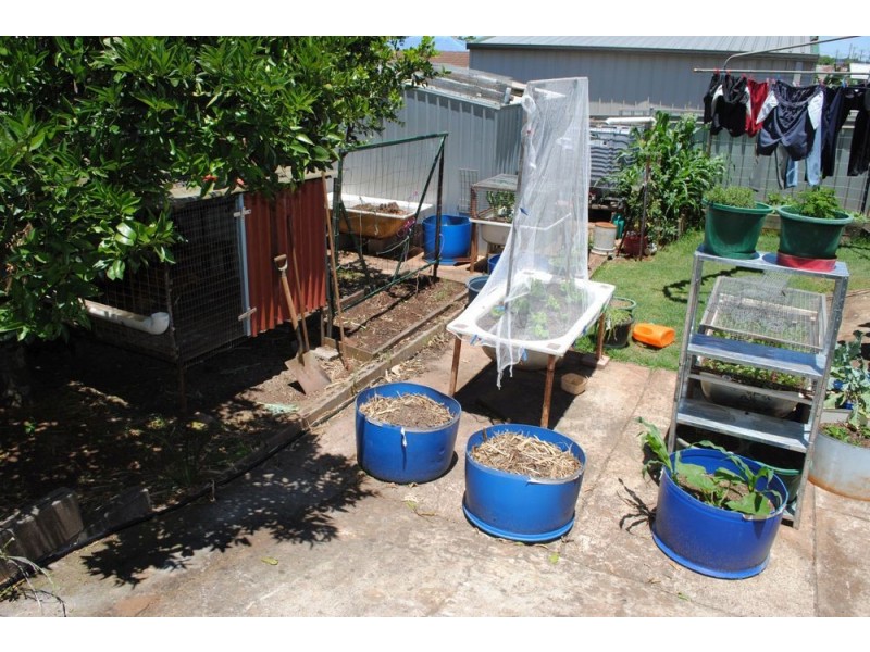 34 Welcombe Avenue, Rockville QLD 4350