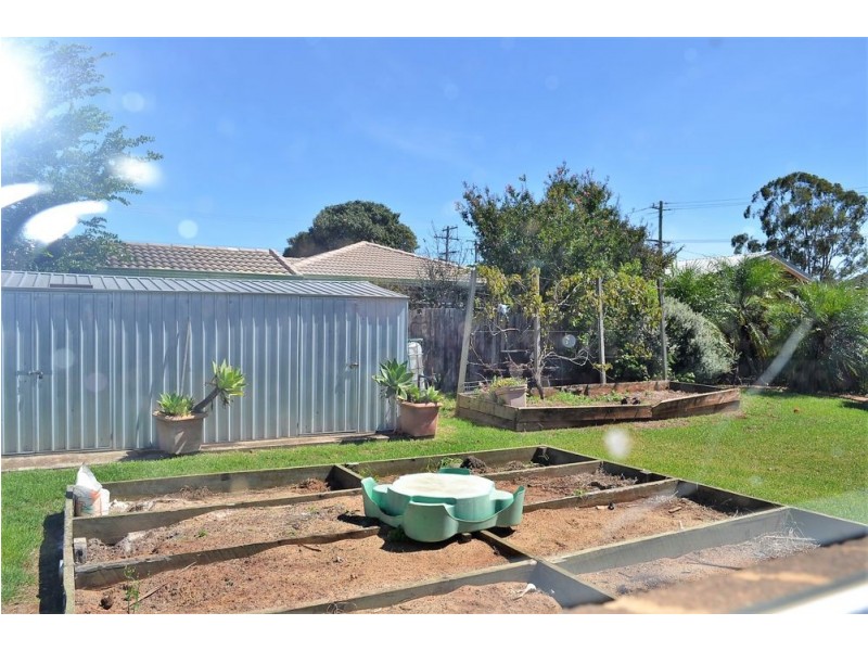 38 Lavena Drive, Darling Heights QLD 4350