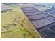 202 Mount Molar Road, Mount Molar QLD 4361