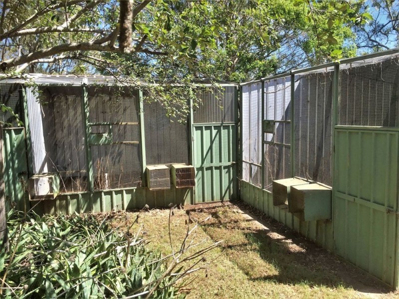 97 Greenwattle Street, Cranley QLD 4350