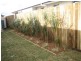 82 Spring Street, Middle Ridge QLD 4350