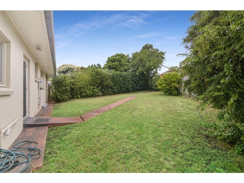 8 Veronica Court, Centenary Heights QLD 4350