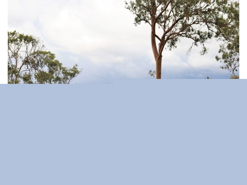 18 Twidales Road, Helidon Spa QLD 4344