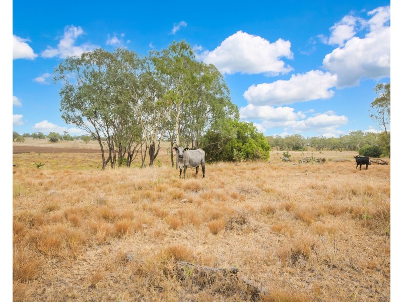 157 Malu Road, Jondaryan QLD 4403