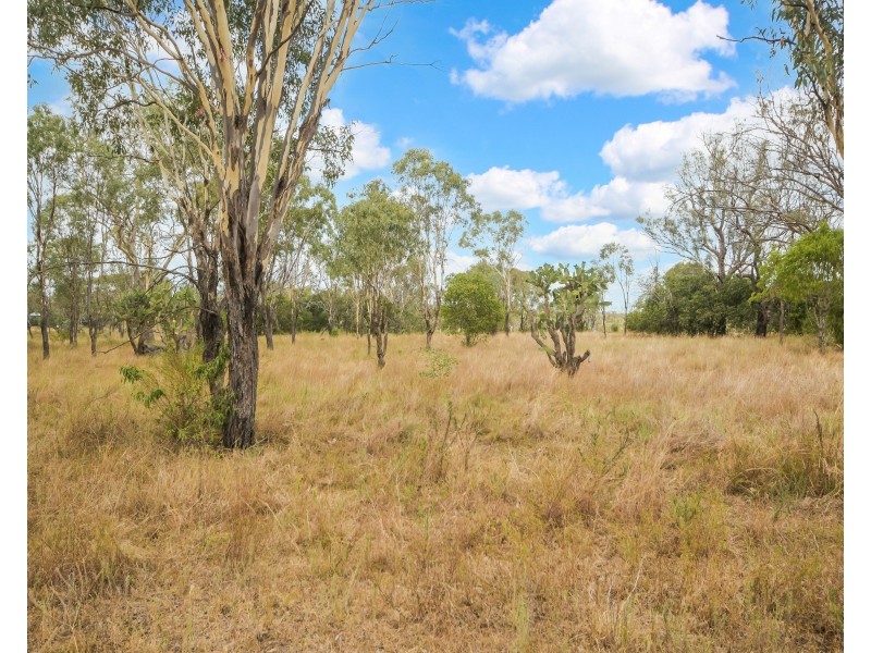 157 Malu Road, Jondaryan QLD 4403