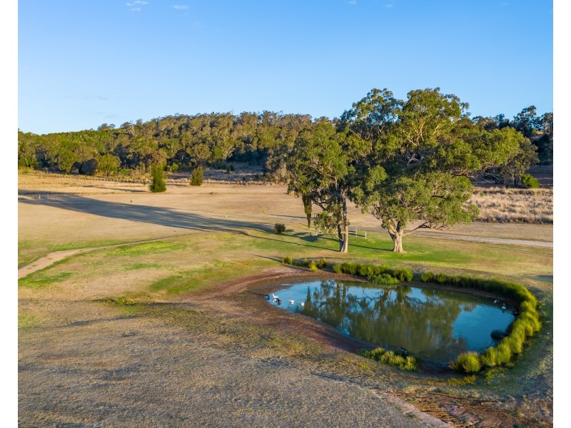 438 Douglas Plainby Road, Douglas QLD 4354