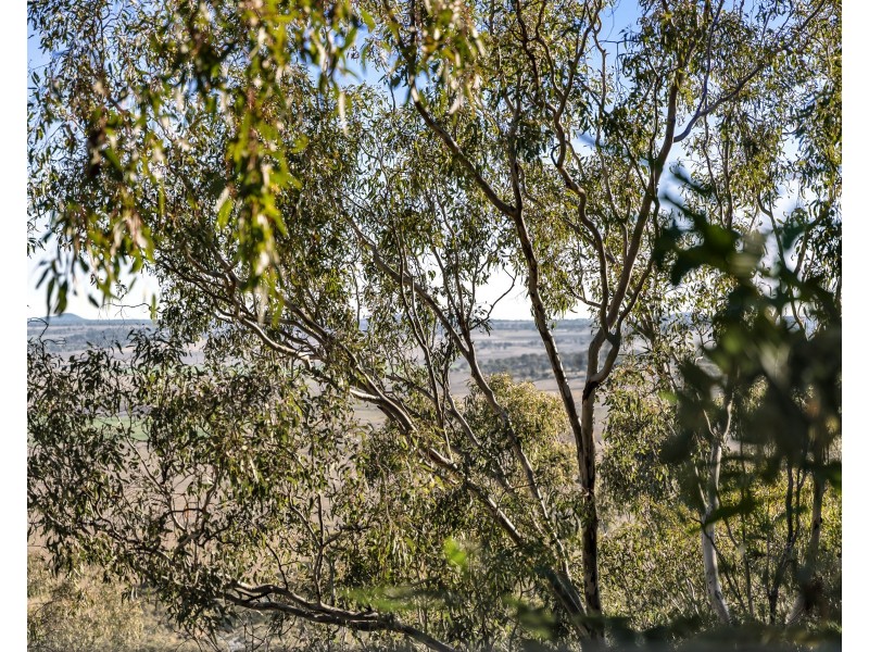 32 Linora Drive, Gowrie Mountain QLD 4350