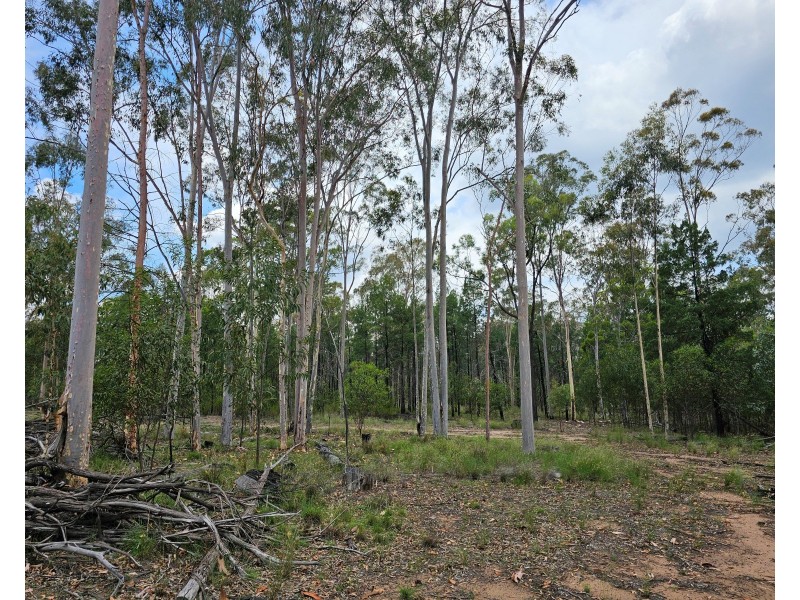 49 Coates Road, Kowguran QLD 4415