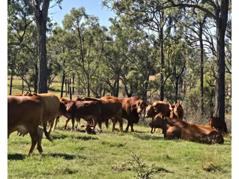 190 Kumbia Minmore Road, Benair QLD 4610