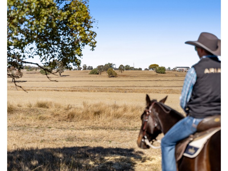 113 Blackwell Road, Westbrook QLD 4350