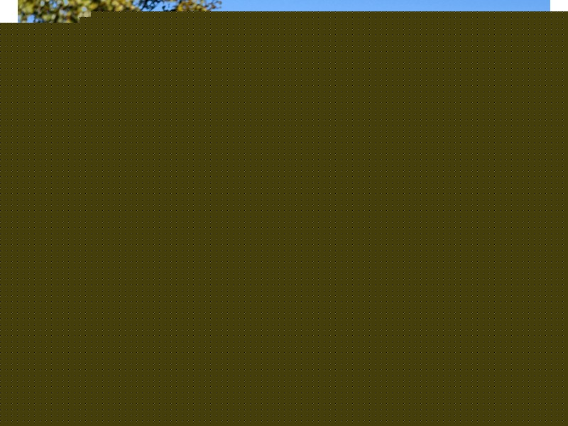 113 Blackwell Road, Westbrook QLD 4350