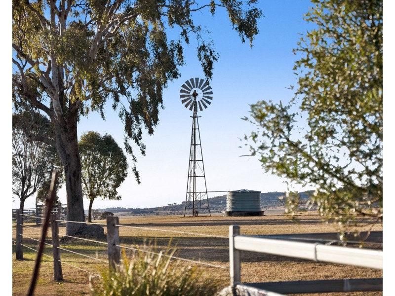 113 Blackwell Road, Westbrook QLD 4350