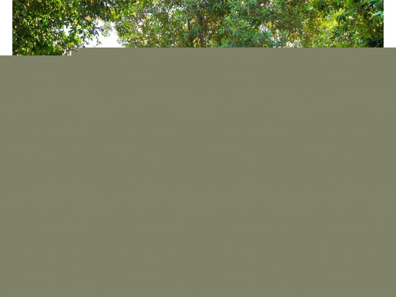 19 Prince Street, Harlaxton QLD 4350