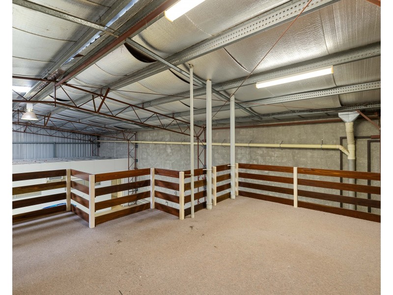 Shed 1/30 Sowden Street, Drayton QLD 4350
