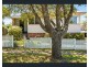 167 North Street, Rockville QLD 4350
