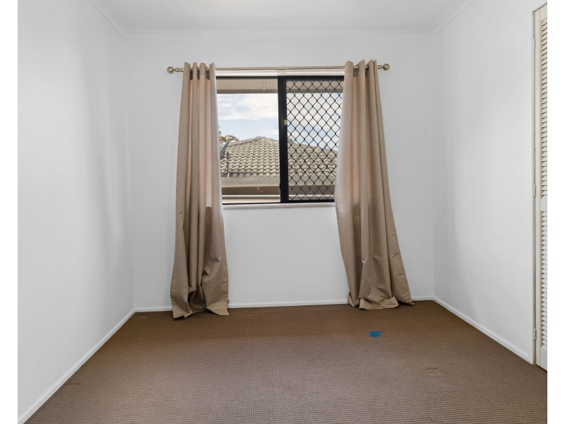 62 Sardon Street, Centenary Heights QLD 4350