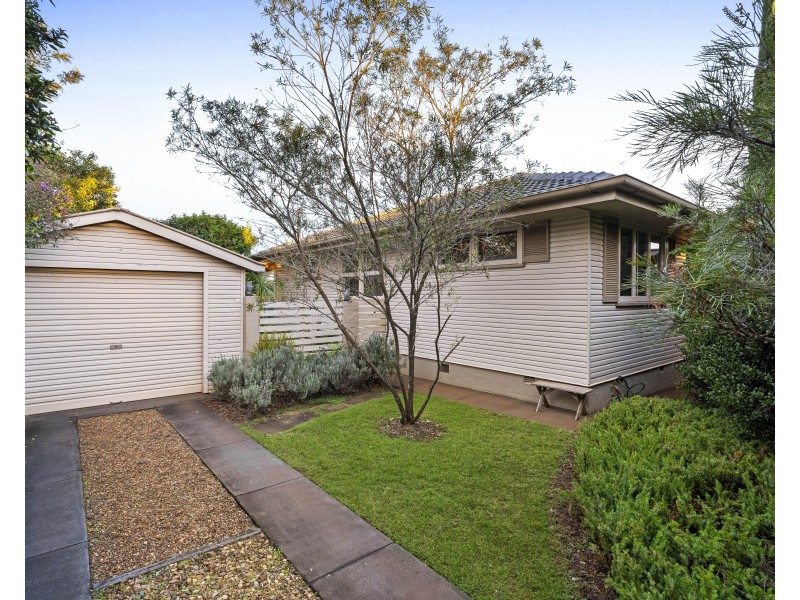 44 Tara Street, Wilsonton QLD 4350
