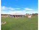 19 Willis Road, Meringandan West QLD 4352