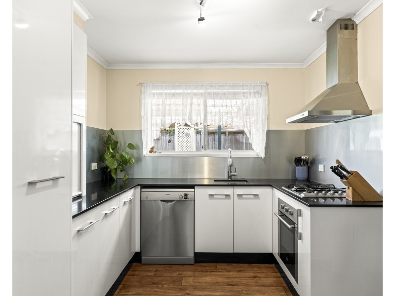 19 Magnolia Street, Centenary Heights QLD 4350