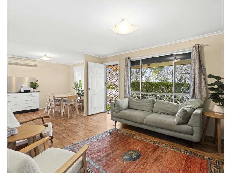 19 Magnolia Street, Centenary Heights QLD 4350