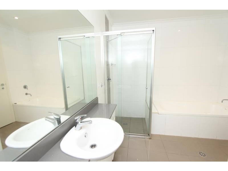 5/241-245 Avoca Street, Randwick NSW 2031