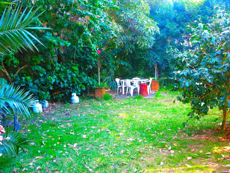 10 Clyde Street, Randwick NSW 2031