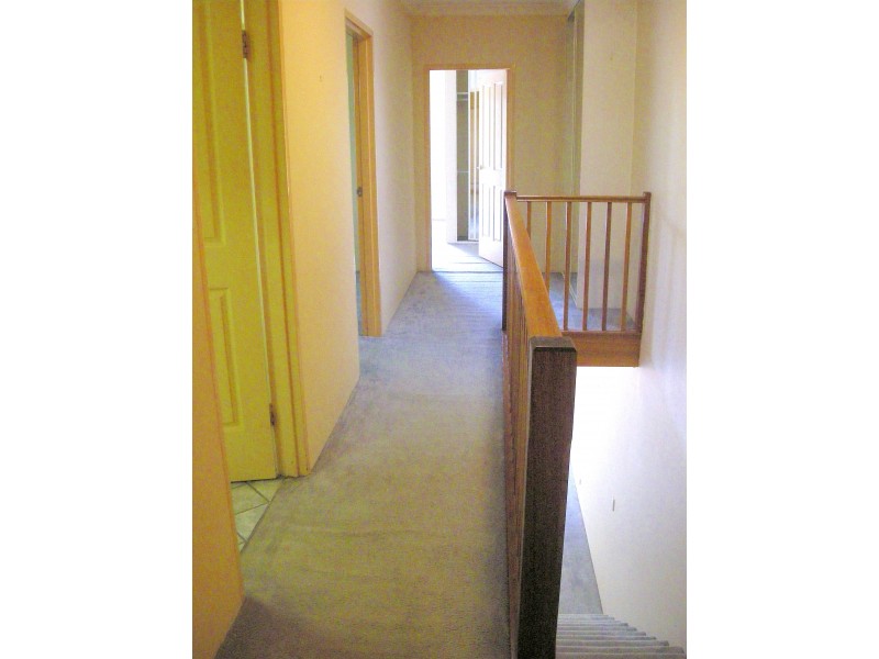 4/1C Ingram Street, Kensington NSW 2033