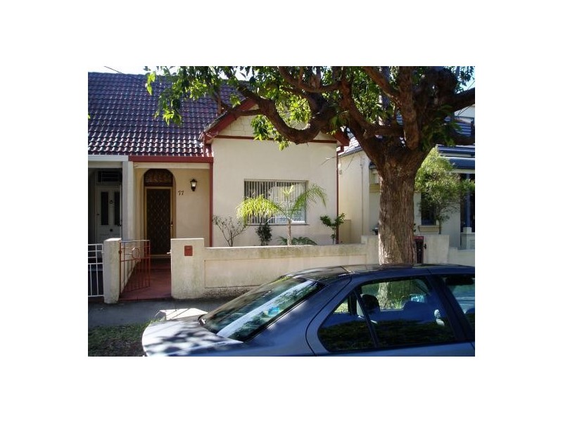 77 PINE STREET, Randwick NSW 2031