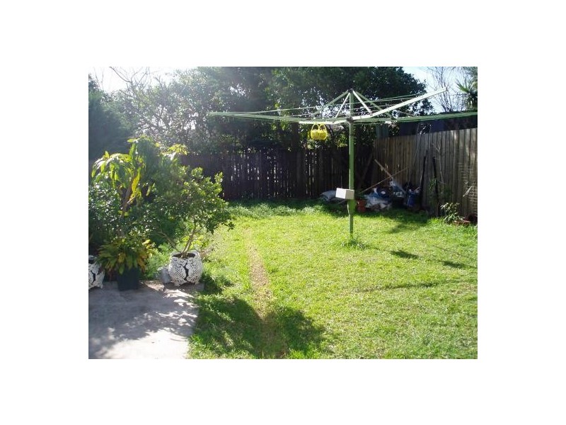 77 PINE STREET, Randwick NSW 2031