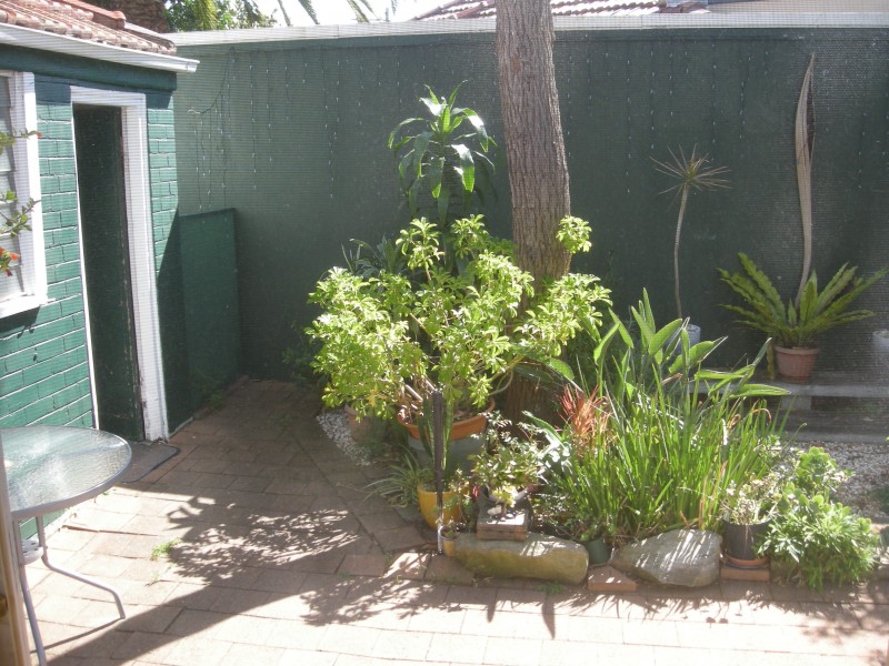 24 Ian Street, Maroubra NSW 2035