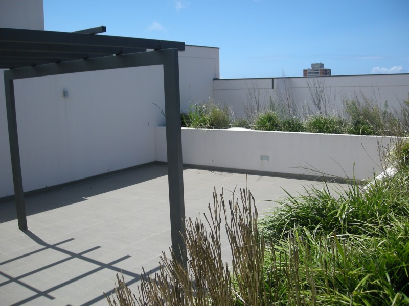 306/2 Albert Street, Randwick NSW 2031