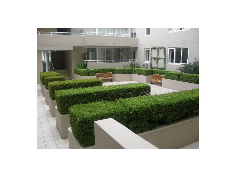 239/25 Wentworth Street, Manly NSW 2095