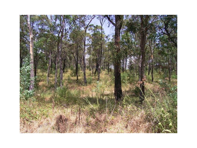 145 Lakes Street, Thirlmere NSW 2572