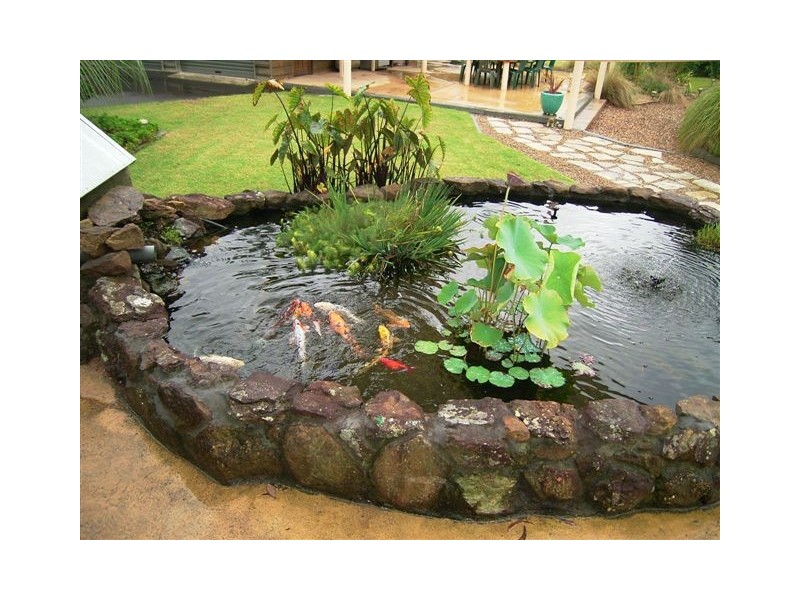 8 Holloway Drive, Jilliby NSW 2259