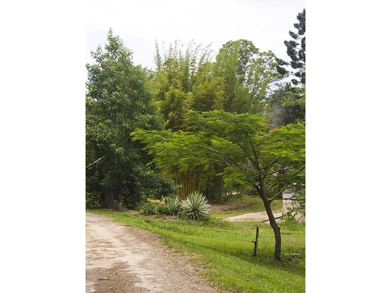 257 McAuleys Lane, Myocum NSW 2481