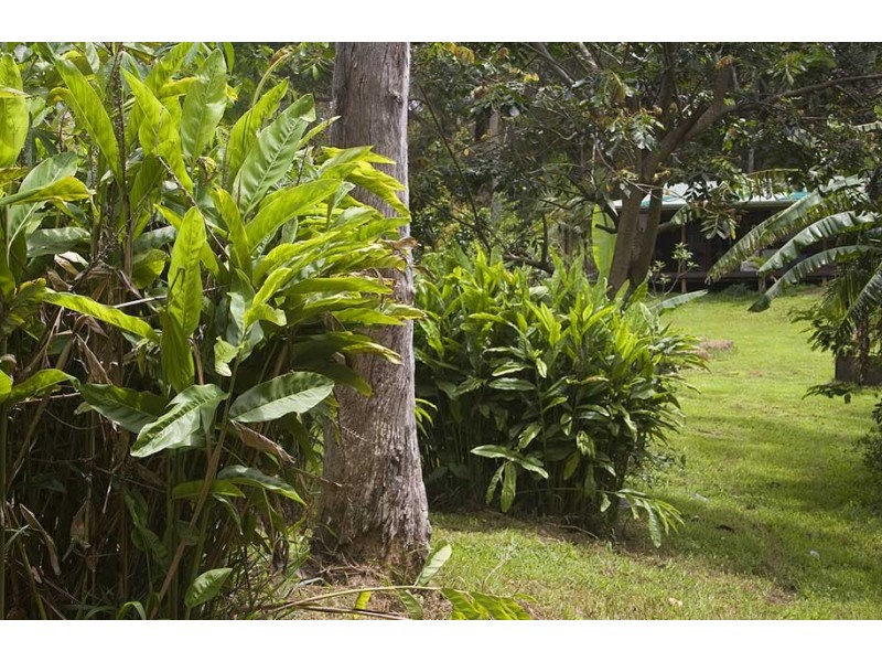 257 McAuleys Lane, Myocum NSW 2481