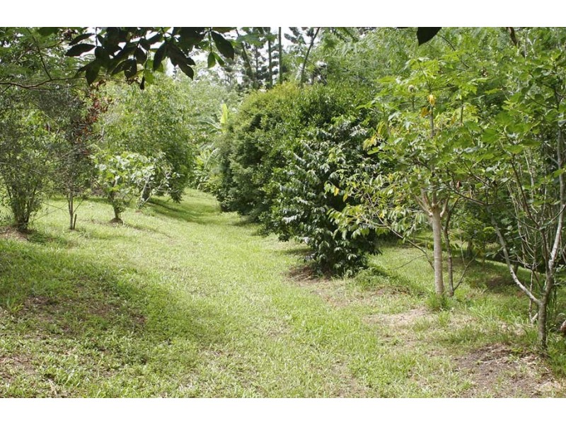 257 McAuleys Lane, Myocum NSW 2481
